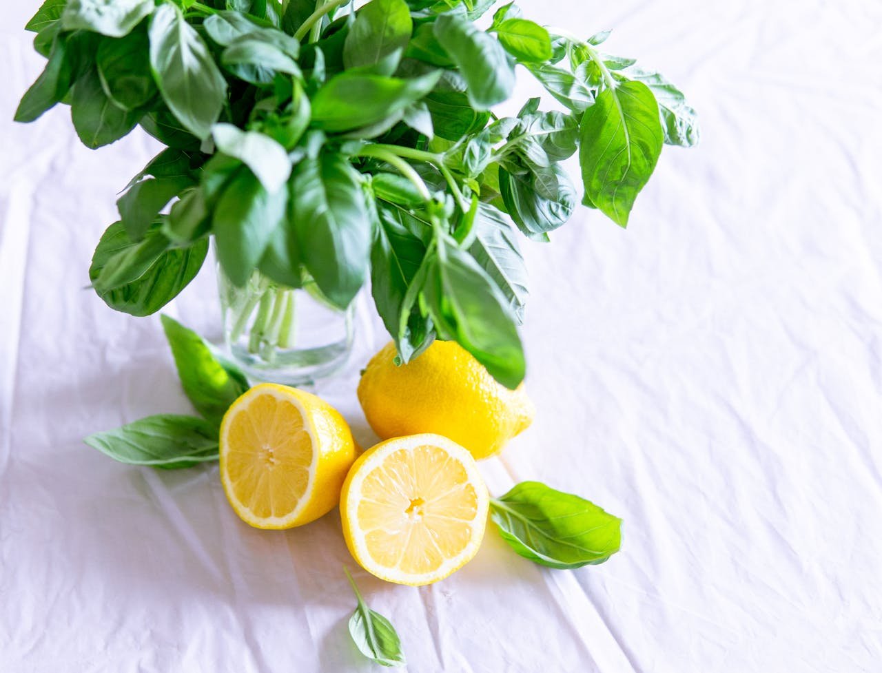 our-experience A vibrant still life featuring fresh basil and lemon slices against a crisp white background.